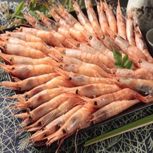 【生食可能】天然甘えび 刺身用1kg(4Lサイズ・40尾前後)