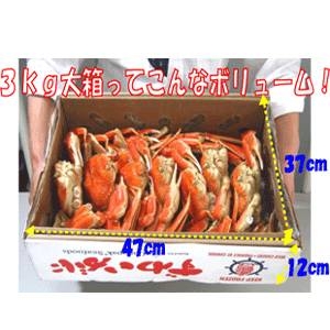 【数量限定 訳あり】カナダ産 脚折れちゃったボイルズワイガニ姿3kg(5~7尾)