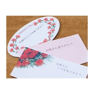 【母の日限定ギフト】カラーおまかせ 花鉢胡蝶蘭 カード付き