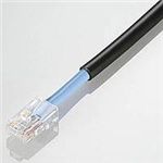 ELECOM CAT5EΉLANP[uiOΉŁj LD-VAPF/BK10