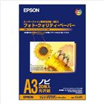 EPSON X[p[t@Cp A3mr MJA3NSP3