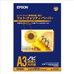 EPSON X[p[t@Cp A3mr MJA3NSP3