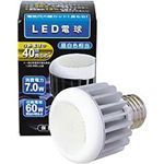 KFE JAPAN LEDd7W LB07-E26CW F sFtLB07-E26CW