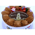 【12月8日で予約終了 2010年クリスマス向け】クリスマスケーキ チョコ5号 【12/21より順次発送】