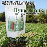 ヒュウガトウキ（HyugaTouki）　（240ｍｇ×180粒　約1か月分）×2袋セット送料無料！