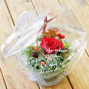 枯れないお花・プリザーブドフラワー