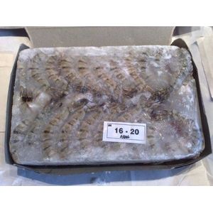 築地魚河岸から直送、魚河岸仲買人厳選の食材ブラックタイガー (1.8kg)