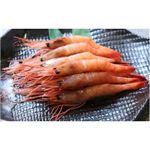 【老舗鮨屋御用達】築地魚河岸から直送　甘エビ (1kg)　たっぷり1kgで驚きのこの価格！　ご贈答用