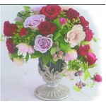 �v���U�[�u�h�E�t�����[�^���[�Y�@�x�C�r�[ r-s93 �~�X�g�O���[�� 24��
