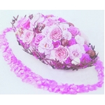 �v���U�[�u�h�E�t�����[�^���[�Y�@�O���[�X R-SS1 �s���A�z���C�g 36��