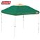 Coleman�i�R�[���}���j �o�b�N���[�h�V�F�[�h /250 II �i�O���[���j 170T14800J 