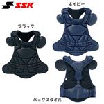 SSKiGXGXPCjdpveN^[ H^ CKP700 M lCr[ 摜P