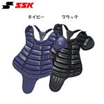 SSKiGXGXPCjdNpveN^[ CKPJ100 lCr[ 摜P