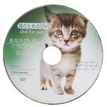 �L�̂��߂�DVD / ���Ȃ������Ȃ��Ƃ��̂��߂Ɂ@