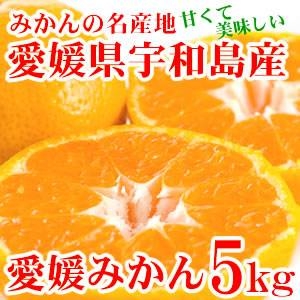 愛媛県宇和島産 太陽の恵みタップリ♪愛媛みかん5kg