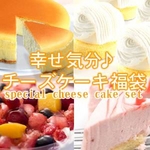 【2011年12月22日13時までのご注文は年内出荷】 【食べ放題】幸せ気分♪チーズケーキ福袋！！