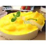 レアチーズケーキ(ホール)食べ放題3種セット (プレーン/ブルーベリー/マンゴー)
