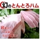 �y�b�蕦���I�z���̂Ƃ�Ƃ�n��3��