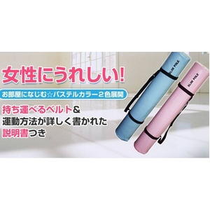 SLIM POLE(スリムポール)「ダイエットポール、ヨガポール」 スカイブルー