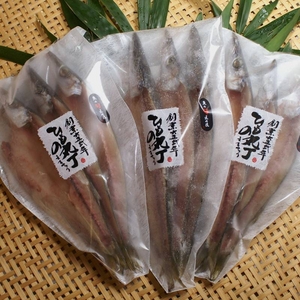 【産地価格でお買い得!!】豊後水道 大分県産カマス開き干し 3尾入り×3袋