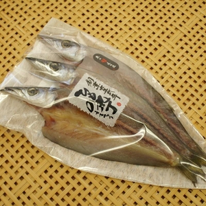 【産地価格でお買い得!!】豊後水道 大分県産カマス開き干し 3尾入り×3袋