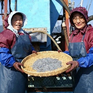 【お試し用】「生ちりめん」 極鮮冷凍!! 豊後水道大分県産 100g×2袋