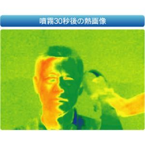 クイッククール(QUICK COOL) ブルー 2個セット