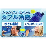 ミスト機能＆ドリンクボトル機能 DRINK MIST（ドリンクミスト） 【2個セット】