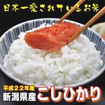 【平成22年産新米 味と価格に自信アリ!】新潟県産こしひかり 白米10Kg（5kg×2）