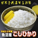 【お歳暮用 内のし付き（外箱には貼られません 名入れ不可）平成22年産新米　味と価格に自信アリ！】魚沼産こしひかり白米10Kg（5kg×2）