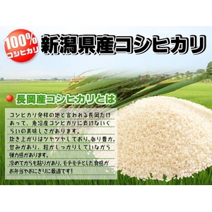 【お試しにも！】新潟県長岡産コシヒカリ5ｋｇ 