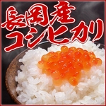 新潟県長岡産コシヒカリ20ｋｇ（10kg&times;2袋）の詳細ページへ