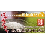 新潟県長岡産コシヒカリ30ｋｇ（30ｋｇ×1袋）