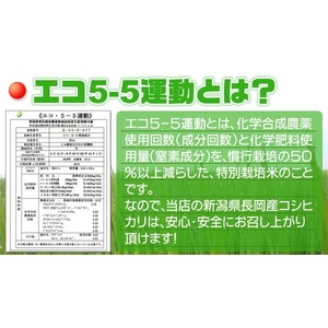 新潟県長岡産コシヒカリ30ｋｇ（30ｋｇ&times;1袋）
