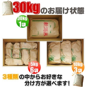 新潟県長岡産コシヒカリ30ｋｇ（30ｋｇ&times;1袋）
