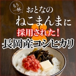 平成21年産 中村さんちの新潟県長岡産コシヒカリ白米 30ｋｇ（10ｋｇ×2袋+5ｋｇ×2袋）