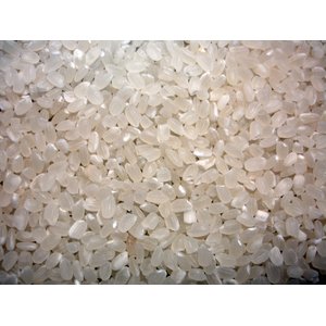 生活応援米 白米10kg (5kg×2袋)