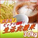 平成21年産 中村さんちの新潟県長岡産コシヒカリ玄米 30ｋｇ（10ｋｇ×2袋+5ｋｇ×2袋）