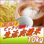 生活応援米 白米10kg 【松】（10kg×1袋）