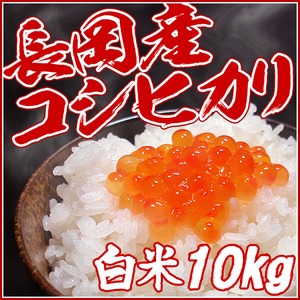 新潟名物伝統の味!笹だんご こしあん10個 + 山ごぼうの葉(つぶあん)10個 計20個セット