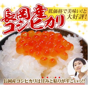 新潟名物伝統の味!笹だんご こしあん10個 + 山ごぼうの葉(つぶあん)10個 計20個セット