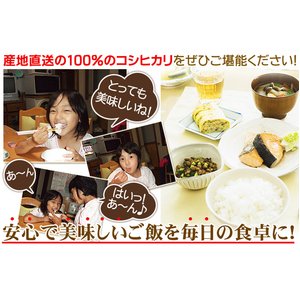 新潟名物伝統の味!笹だんご こしあん10個 + 山ごぼうの葉(つぶあん)10個 計20個セット