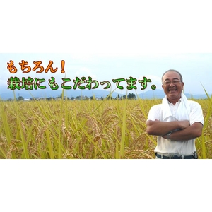 新潟名物伝統の味!笹だんご こしあん10個 + 山ごぼうの葉(つぶあん)10個 計20個セット