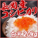 新潟名物伝統の味！笹だんご みそあん10個 ＋ 黒ゴマあん10個 計20個セット