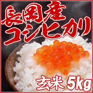 新潟名物伝統の味！笹だんご 黒ゴマあん10個 ＋ 山ごぼうの葉（つぶあん）10個 計20個セット