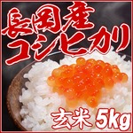 yɁIz27N _̐VYRVqJ5kg