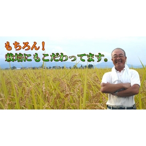 新潟名物伝統の味！笹だんご 黒ゴマあん10個 ＋ 山ごぼうの葉（つぶあん）10個 計20個セット