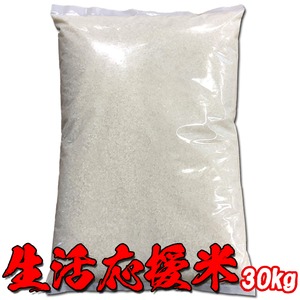 ビックリ価格！生活応援米【B】 白米30kg（5kg×6袋）