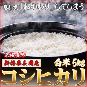 お試しに！平成29年産 新潟県長岡産コシヒカリ（未検査米）白米5kg 