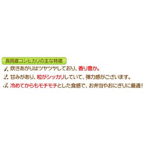 お試しに！平成29年産 新潟県長岡産コシヒカリ（未検査米）白米5kg 